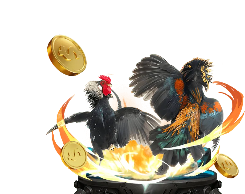 Tổng quan các tính năng cá cược của ứng dụng C168 Win